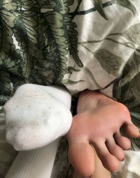 狐狸的夏天电视剧全集免费观看