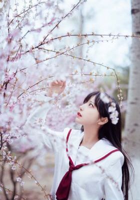 娼年在线免费观看